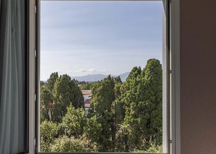 B&B HOTEL Perpignan Sud Marché International